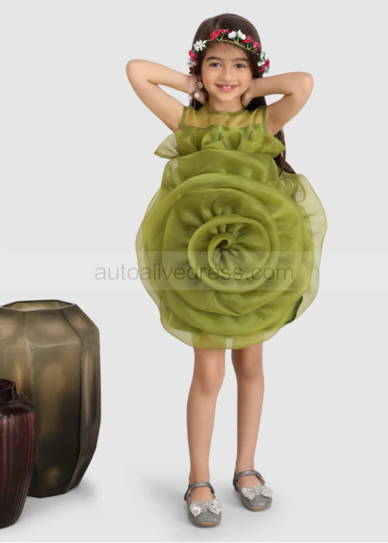 Olive Green Organza Big Flower Unique Flower Girl Dress